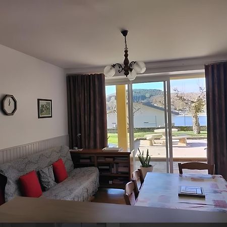 Appartamento Aux Rives Du Lac Villefranche-de-Panat Esterno foto